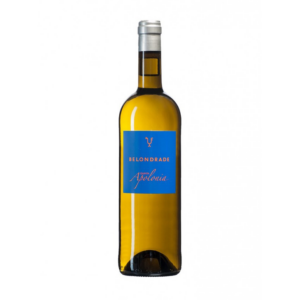Belondrade Quinta Apolonia, 75 Cl